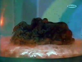 Viagem Fantástica  Episódio 02