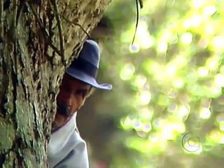 Direito de Amar (1987) - Resumo da novela