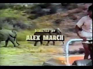 Cowboy na África ( O Rodeio  Africano) - DUBLAGEM ORIGINAL