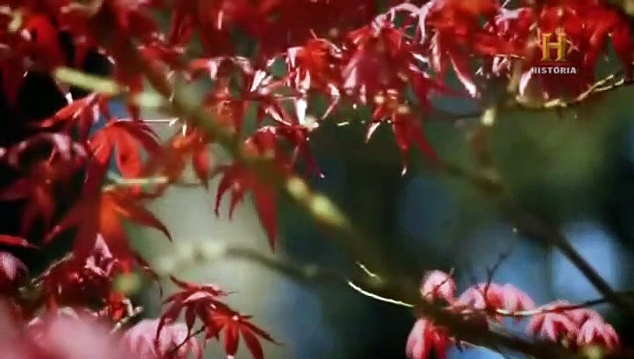 DESCUBRE Y CONOCE QUIENES ERAN LOS GUERREROS RONIN,SU HISTORIA,SERIE TV DOCUMENTAL BLACK OPS DE LA ANTIGUEDAD,CAPITULO 10,SAMURAIS JAPONESES SIN DUEÑO,EPISODIO