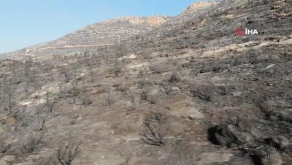 Yanan bölgeler görüntülendi