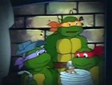 Teenage Mutant Ninja Turtles S04E33 Leonardo vs. Tempestra