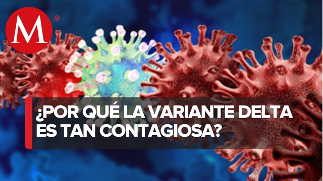 Variante Delta de covid-19 es tan contagiosa como la varicela o la gripa, advierten expertos