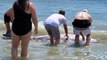 Pawleys Island Beachgoers Rescue Mama Whale That Became Stranded on Sandbar after Giving Birth