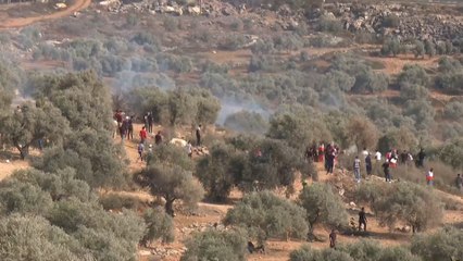 إصابة عشرات الفلسطينيين أثناء اعتراض الاحتلال مشيعي جنازة الشهيد عوض شوكت