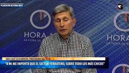 “A mi me importa que el sector yerbatero, sobre todo los más chicos”