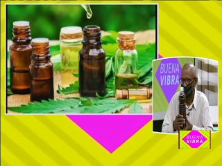 Buena Vibra | Nueva técnica de la medicina natural: Tinturas de plantas medicinales