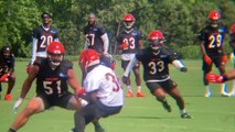 Cincinnati Bengals Training Camp Highlights