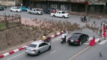 Dos pandillas de monos salvajes se enfrentan en una calle y desatan el caos en Tailandia
