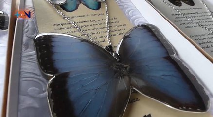 mqn-Crean hermosa bisutería con alas de mariposa-290721