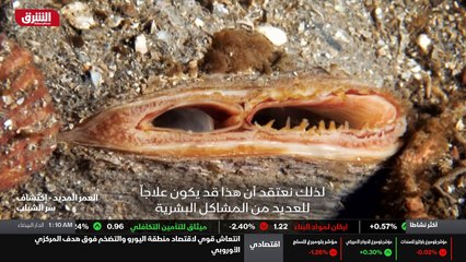 ...كان هذا النهج يعني البحث في مكان غير متو...