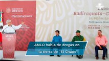 Siembra de marihuana y amapola, en franca decadencia: AMLO
