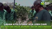 122. Luar Biasa - Pohon Alpukat Saja Bisa Menghidupi Anak Yatim- Kalau Anda Bagaimana - Mardigu Wowiek