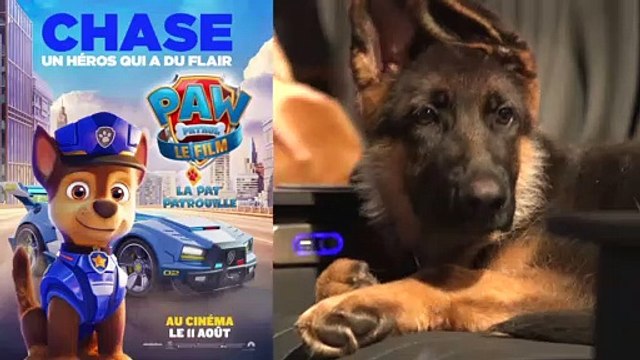 LA PAT' PATROUILLE LE FILM - Les chiens ont adoré!