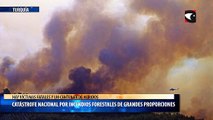 Catástrofe nacional por incendios forestales de grandes proporciones