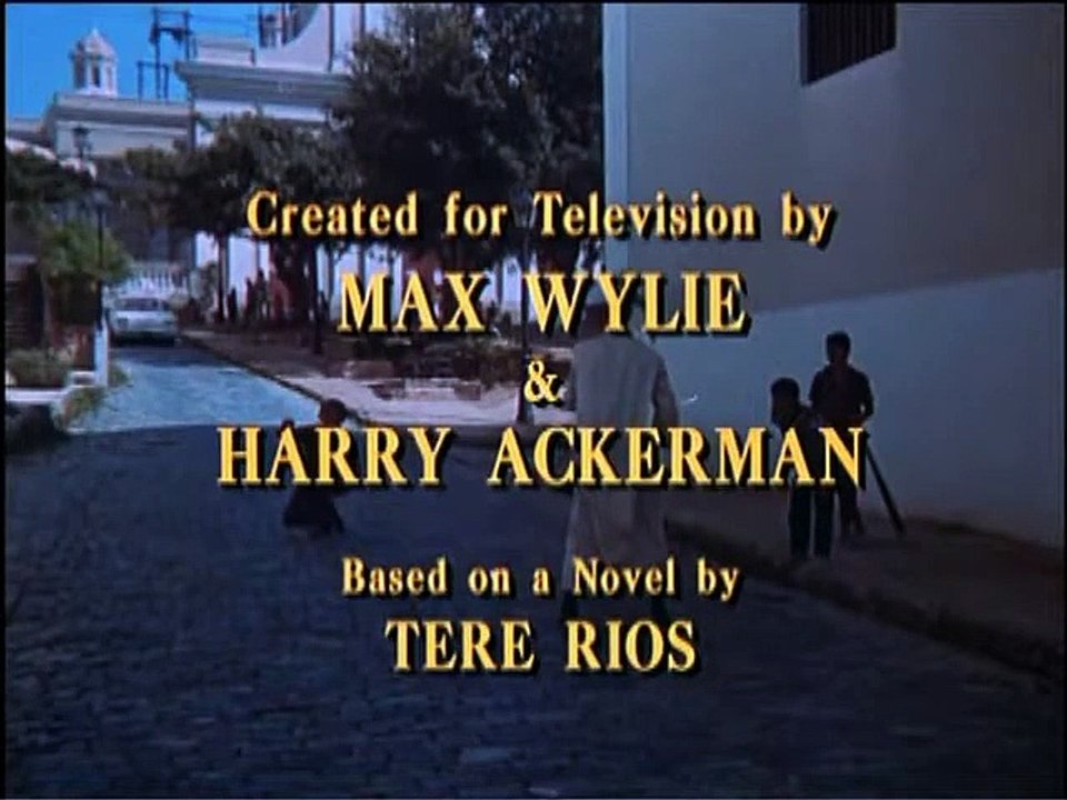 The Flying Nun   S00E01 01   A Look Back at the Flying Nun .    Sally Feilds (3)