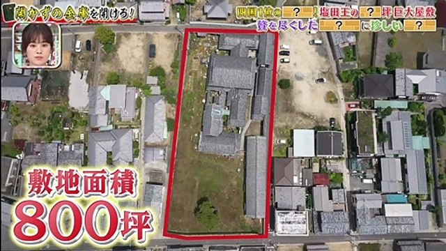 miomio 動画サイト - miomio 動画 - Miomio - 所さんのそこんトコロ 動画　9tsu 2021年7月30日