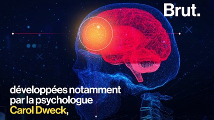 "Le talent n'existe pas" selon la neuroscientifique Samah Karaki