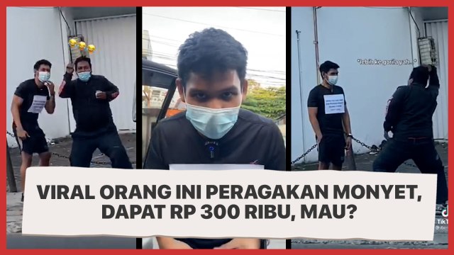 Viral! Orang Ini Ditantang Peragakan Monyet, Dapat Rp 300 Ribu, Mau?