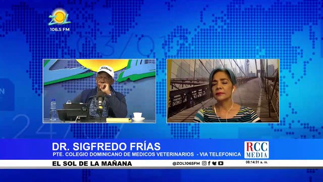 Dr. Sigfredo Arias: Situación de los cerdos tras detectarse la fiebre porcina africana en el país