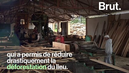 Cette coopérative relance le tourisme pour préserver une forêt