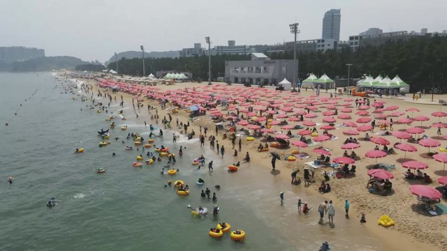 동해안 해수욕장 피서객 몰려...방역 비상 / YTN