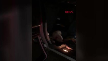 Gemlik'te zincirleme kaza; 1 ölü, 2'si ağır 5 yaralandı