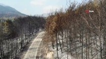 Osmaniye’deki orman yangınının ilerlemesi durduruldu