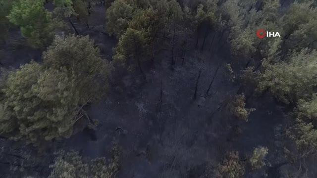 Kozan'daki orman yangını kontrol altına alındı