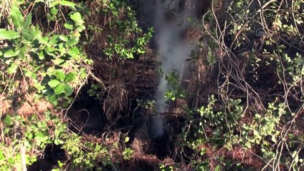 Hatay'da çıkan orman yangını kontrol altına alındı