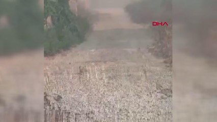Son dakika: MANAVGAT'TAKİ BÜYÜK YANGIN 4'ÜNCÜ GÜNÜNDE
