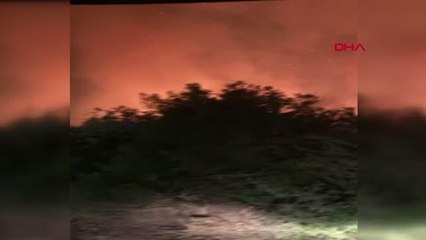 HATAY'DA 3 HEKTAR ORMANLIK ALAN YANDI