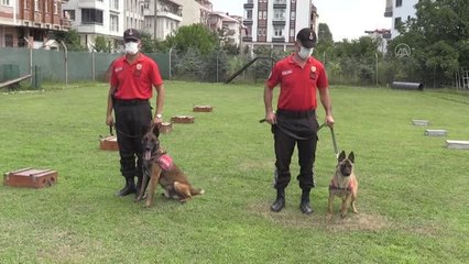 Jandarma köpekleri "Tonya" ve "Barut" suçlulara göz açtırmıyor