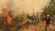 Son dakika haberleri | Gündoğmuş'taki orman yangını Alanya'ya sıçradı
