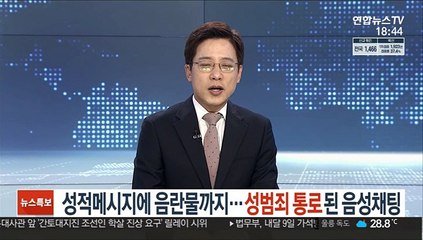 성적메시지에 음란물까지…성범죄 통로된 음성채팅