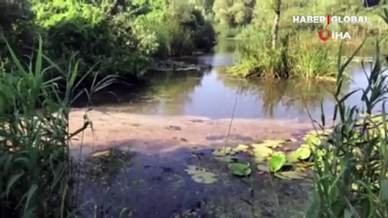 'Saklı kalmış cennet' cehenneme döndü!