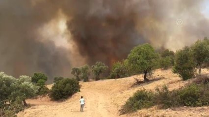 Manavgat'ın Hocalar Mahallesi yakınlarındaki orman yangınına müdahale ediliyor