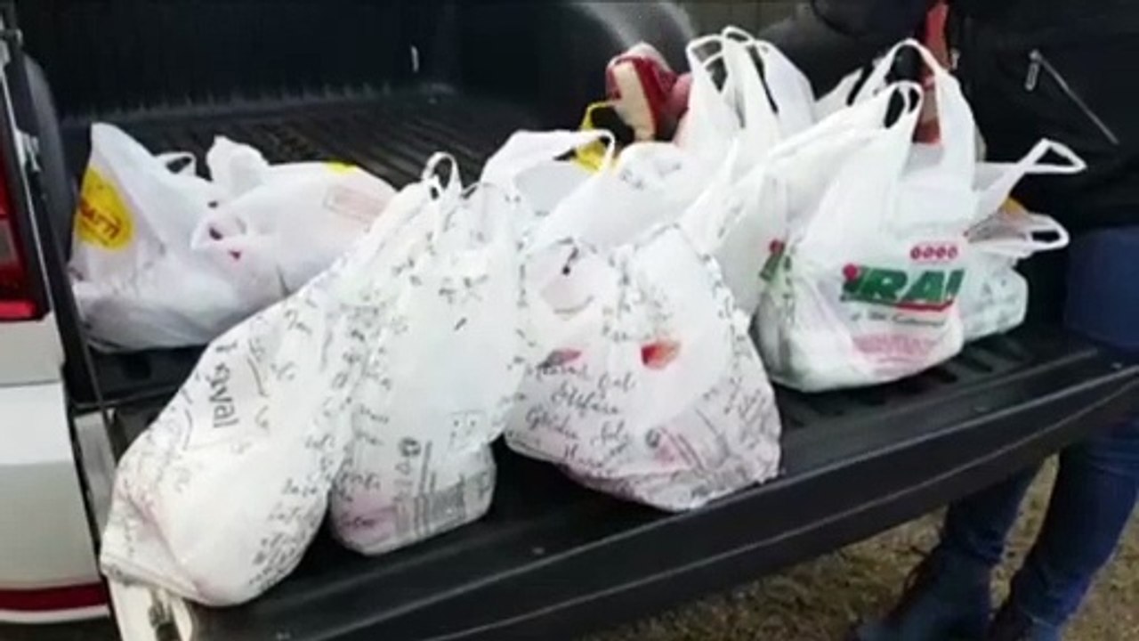 Grupo Amigos dos Rios realiza troca de mudas de árvores por alimentos em frente à Prefeitura