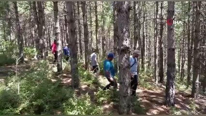 Скачать видео: Yürüyüş yapmak için ormana giden Emine öğretmenden haber alınamıyor