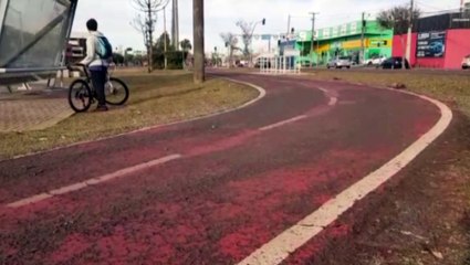 Скачать видео: Colisão entre ciclistas na Avenida Tancredo Neves deixa mulher de 39 anos ferida