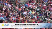 Bipartisan lawmakers team up to help Minor League Baseball