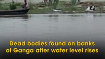 Dead bodies found on banks of Ganga after water level rises