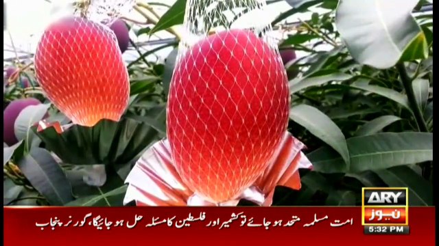 Jahan Bean | Faisal Ali Khan | ARYNews | 31 July 2021