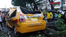 Hujan Badai di Medan Sebabkan Pohon Tumbang Timpa Kendaraan