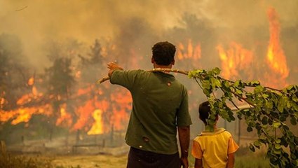 Bilanço çok ağır! 11 gündür süren orman yangınlarında kül olan alanlar tek tek hesaplandı