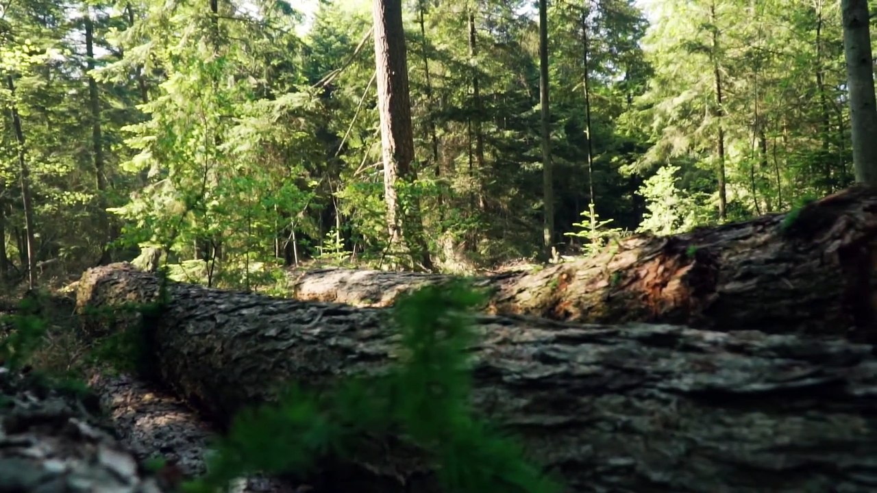 Ambient Guitar Music For Studying-Music For Studying,Focus And Concentration