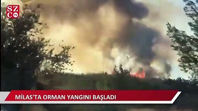 Milas’ta orman yangını başladı