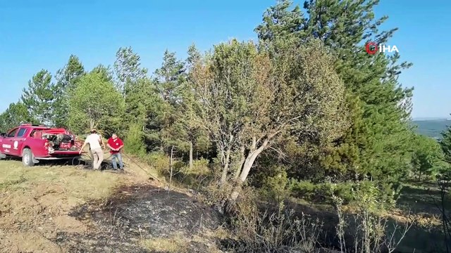 Karabük’te ekin tarlasındaki yangın ormana sıçramadan söndürüldü