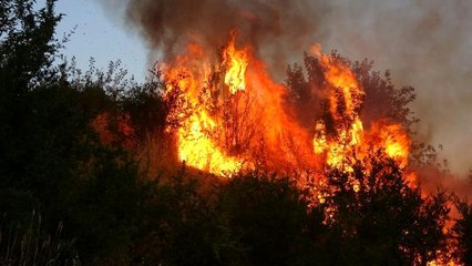Son dakika haberleri! Adıyaman'da korkutan bahçe yangını