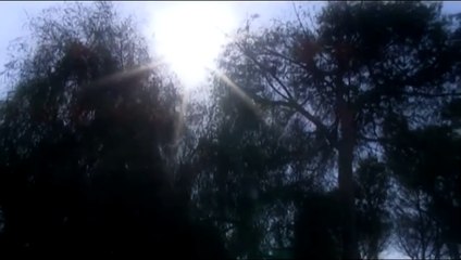 Nino Fiorello -  stamme n'zieme -